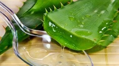 Aloe per aumentare la potenza degli uomini